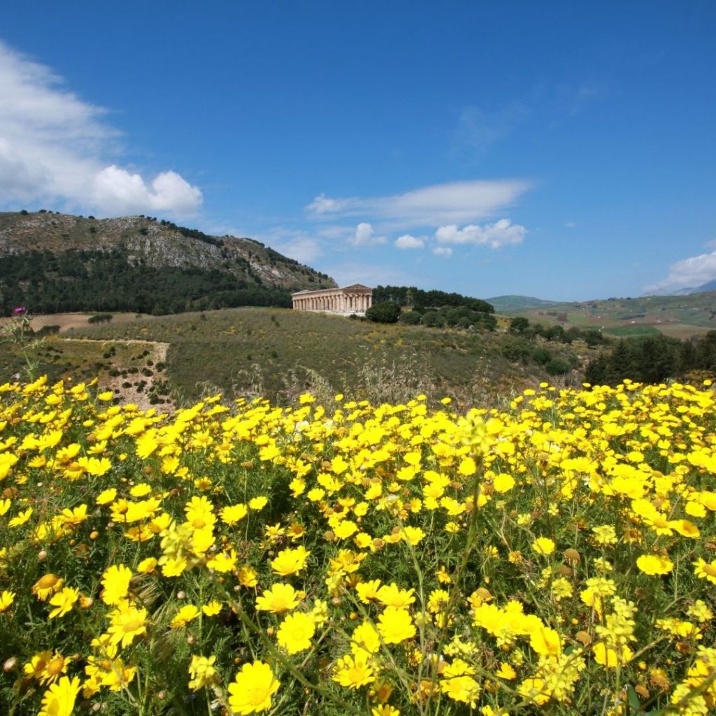 terme-segestane