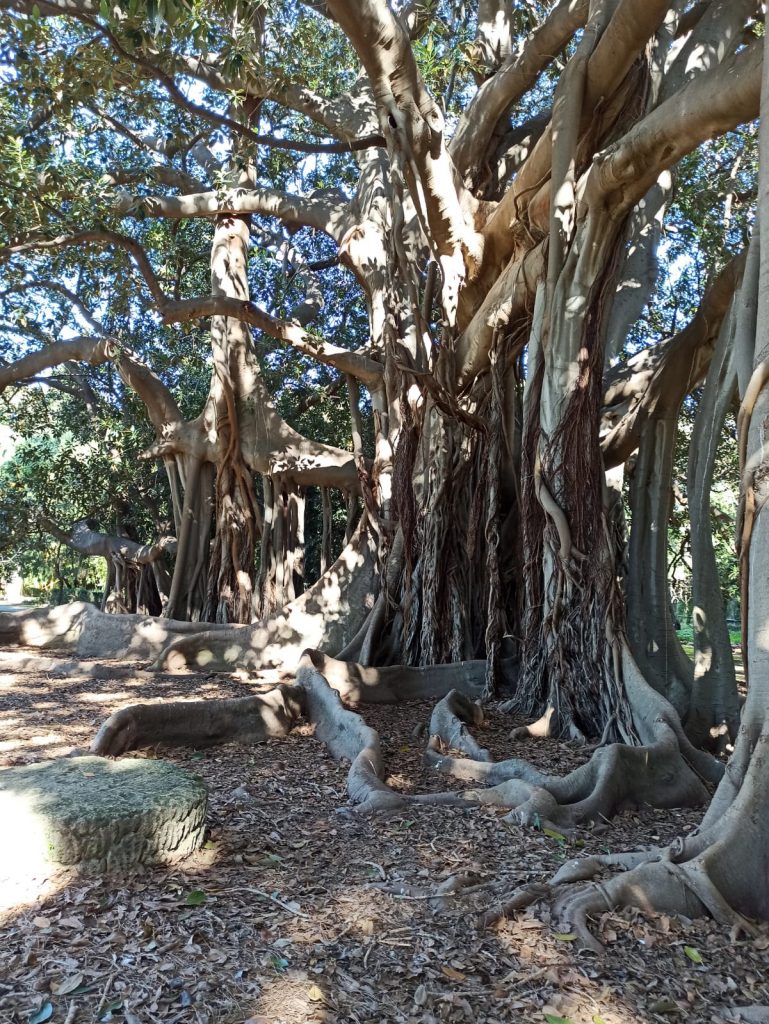 Sicilia con i bambini - Palermo - Poseidon Residence